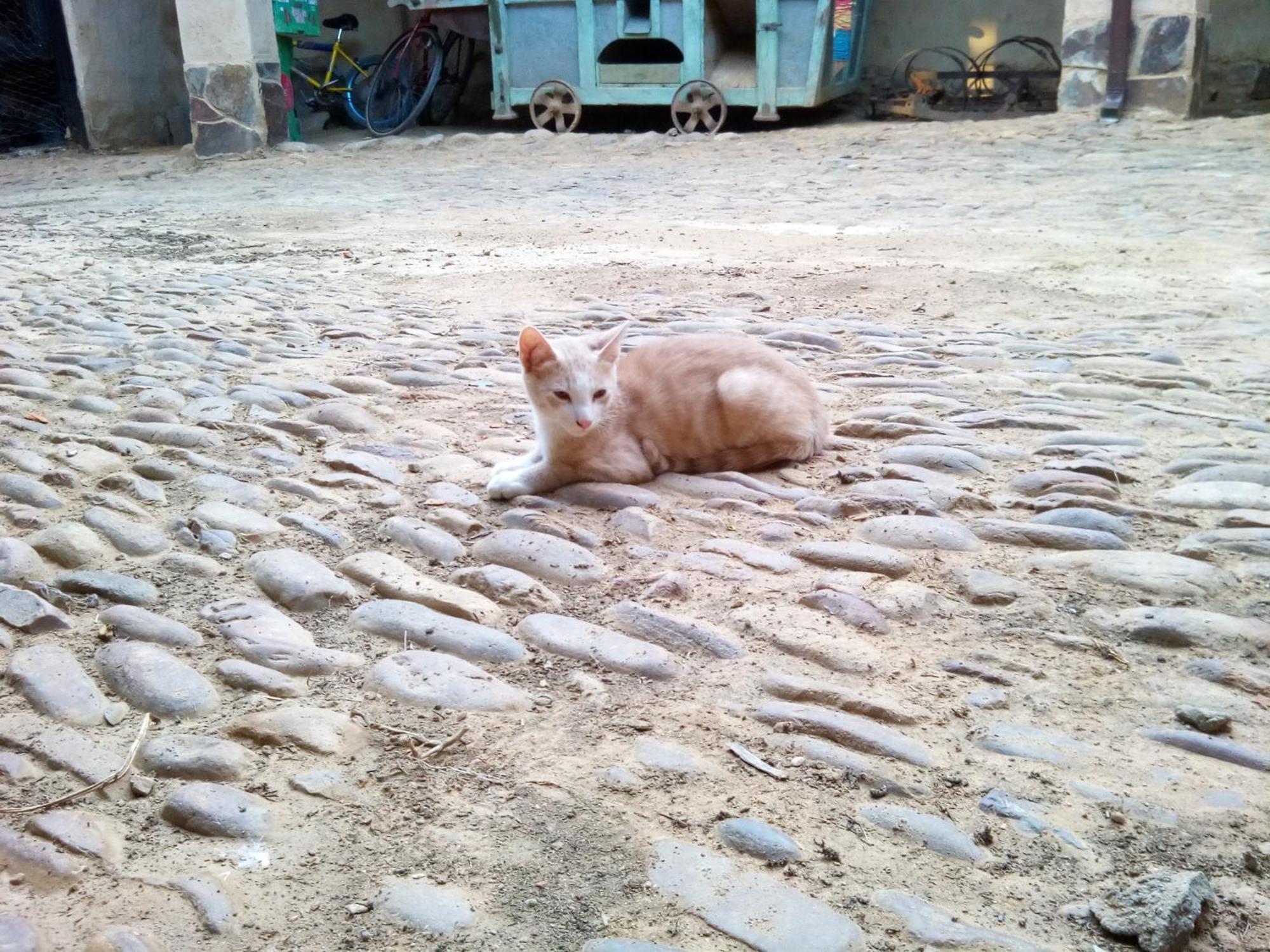 Antonan del Valle Casa Rural Abuela Tina מראה חיצוני תמונה